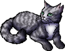 StarClan Version