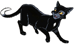 Warrior Cats - Ravenpaw:. — Weasyl