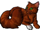 Squirrelstar.star.png (23 KB) StarClan Version