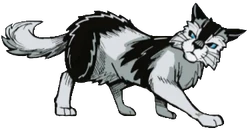 After a few days, Barley apologized to Ravenpaw for their argument and agreed to join them on their quest to SkyClan