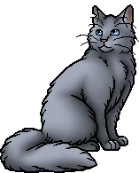 Bluestar's Prophecy - Wikipedia