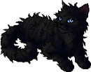 StarClan Version