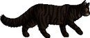 Tigerstar (AVoS).loner.png (17 KB) Loner Version