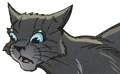 Cinderpelt in Ravenpaw's Path