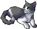 StarClan Version