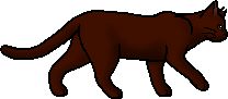 Kitescratch, Warriors Wiki