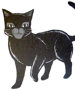 Ravenpaw (Warrior cats) - Drawception