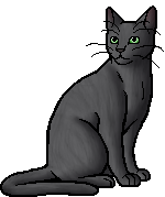 Ashfur (TC) - Warrior cats by CreativeCheetah on DeviantArt