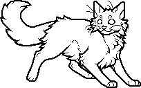 warrior cat apprentice outline