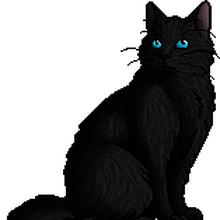 Hawkfrost Warriors Wiki Fandom Mothwing has killed hawkfrost that evening by the lake but her war against her late father's influence isn't over. hawkfrost warriors wiki fandom