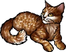 StarClan Version