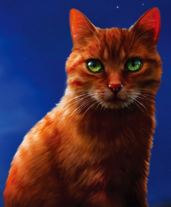 Firestar  Warrior Cats