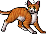 Bristlepaw (ASC)