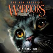 English Audiobook Released in North America