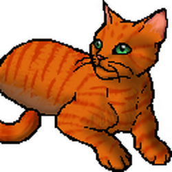 Firestar Warriors Wiki Fandom