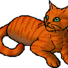 Firestar Warriors Wiki Fandom