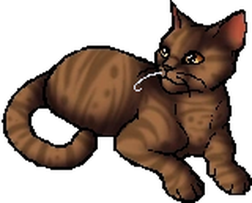 Thunderclan Warrior Cat Wiki Fandom Powered By Wikia - Warrior