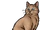 Thornwhisker