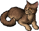 StarClan Version