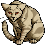 Dawnpelt | Warriors Wiki | Fandom