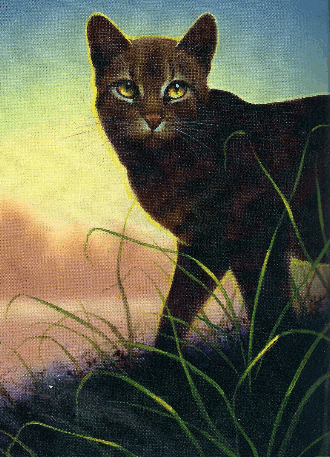 photo Yellowfang's Secret Allegiances raggedstar warriors wiki fandom