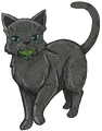 Cinderpelt in Graystripe's Adventure
