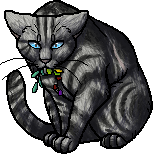 Jayfeather, Warriors - what should have happened Wiki