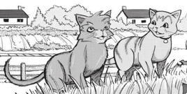 The Lost Warrior/Chapter 3