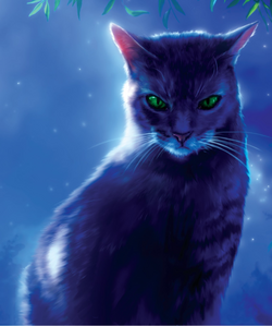 warrior cats shadowstar