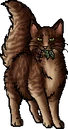 Brackenheart.mc.png (25 KB) Medicine Cat Version