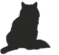 Cinderpelt's silhouette on the Warriors website