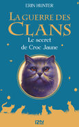French Language Edition E-book Released in France