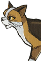 Sorreltail in Ravenpaw's Path