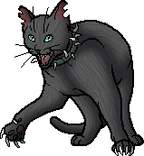 warrior cat designs — Boulder Elder of ShadowClan “That's right