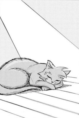 The Lost Warrior/Chapter 1