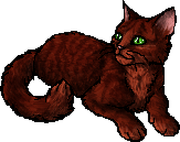 Firestar's Quest/Allegiances, Warriors Wiki