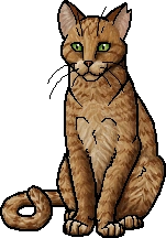 Warrior Cats - Firestar by Fox-Desert ~ Spottedstar