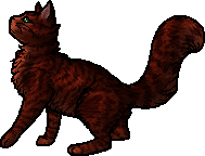 PPT - WARRIOR CATS PowerPoint Presentation, free download - ID:2073048