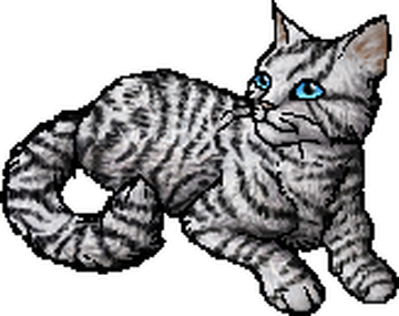 StarClan, Warriors Wiki