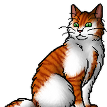 Fallen Leaves Warriors Wiki Fandom Fallen Leaves Warriors Wiki Fandom