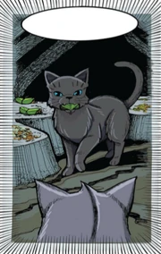 A medicine cat cannot take a mate or kits.