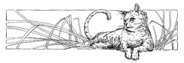 Tawnypelt&#39;s Clan/Chapter 1