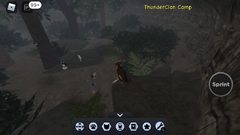 ThunderClan camp.screenshot