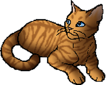 Ashfur (ShC), Warriors Wiki