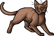 Oakheart [Warrior - Cats] by ~Akatsu -- Fur Affinity [dot] net