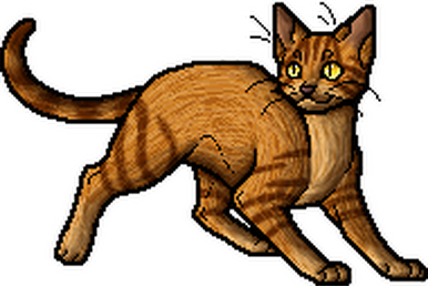 Bookclan - Ravenpaw, Wiki