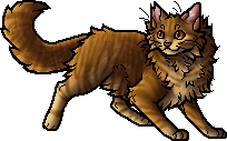 Lionblaze, Warriors Wiki, FANDOM powered by Wikia