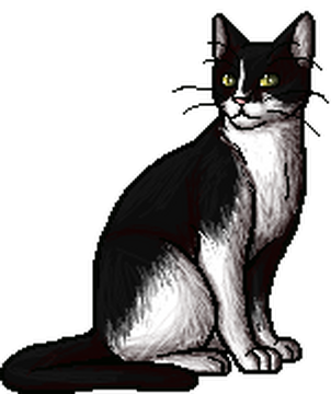 Black and white warrior cat clearance