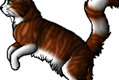21329 - safe, artist:chatterfox, firestar (warrior cats), spottedleaf (warrior  cats), cat, feline, mammal, feral, warrior cats, bush, cloud, female,  flower, grass, holding, lavender, male, male/female, mouth hold, shipping,  sky, spottedfire (warrior cats)