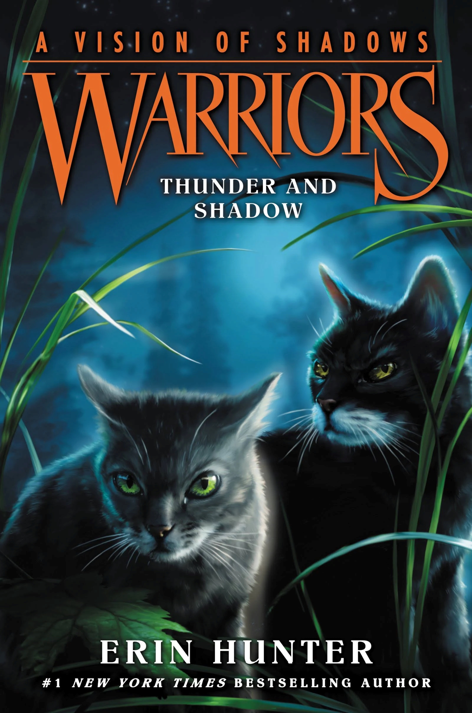 Wind (book), Warriors Wiki
